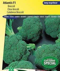 Broccoli Atlantis F1