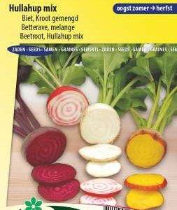 Beet Hullahup mix