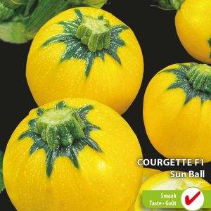 Courgette F1 Sun Ball
