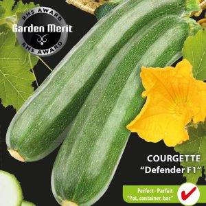 Courgette Defender F1