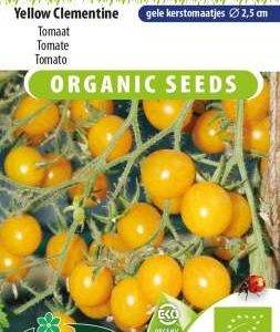 Tomato Yellow Clementime Bio