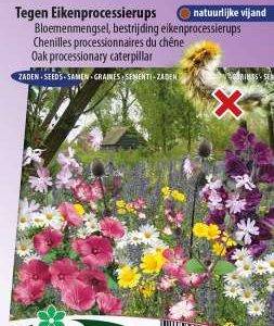 Bloemenmengsel tegen Eikenprocessierups (meerjarig)