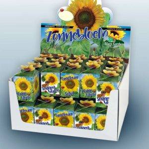 Show box Greengift Sunflower High Yellow per 40 pieces
