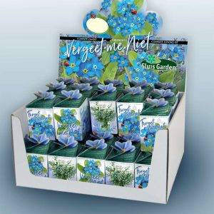 Show box Greengift Forget Me Not