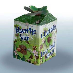 Greengift Four-leaf clover per 5 pieces