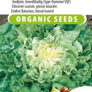 Andijvie  breedblad Nuance