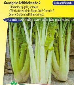 Bleekselderij Goudgele Zelfblekende