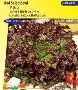 Pickled lettuce Red Salad Bowl