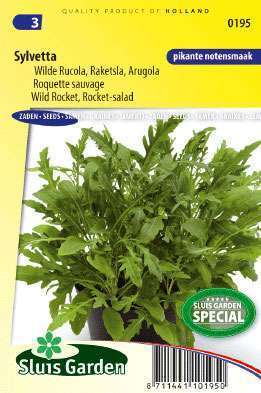 Rucola Wilder Rucola, Sylvetta