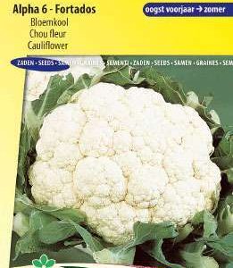 Bloemkool Alpha 6 Fortados