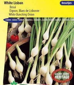 Spring onion White Lisbon from 50 Grams