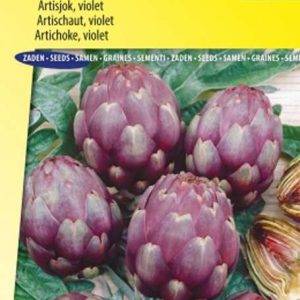 Artisjokken Violet de Provence
