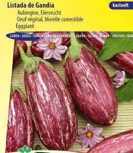 Aubergine Listada de Gandia