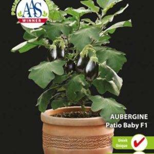 Aubergine Patio Baby F1