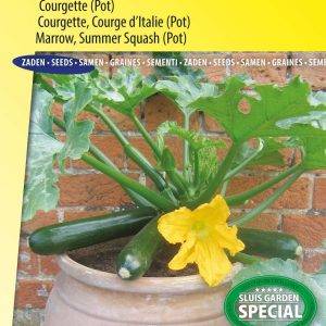 Courgette Patio Star F1 (potcourgette)