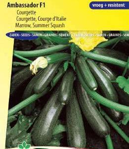 Courgette Ambassador F1