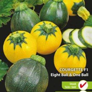 Courgette Eight Ball & One Ball F1