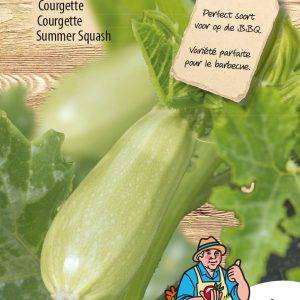 Courgette Grey Griller F1