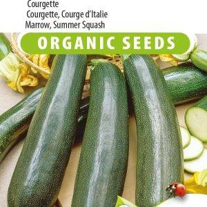 Courgette, Black Beauty Eco