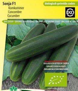 Cucumber Sonja F1 Eco becomes Diva replacement
