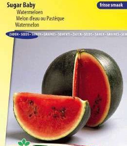 Sugar Baby (watermeloen)