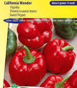 Paprika California Wonder