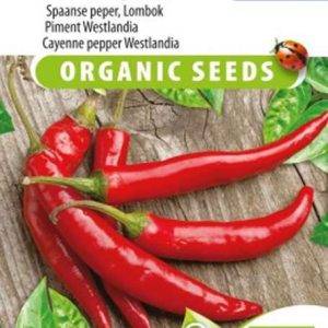 Peper Westlandse lange Rode BIO