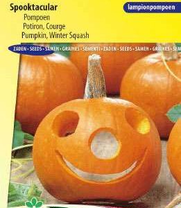 Pompoen Spooktacular
