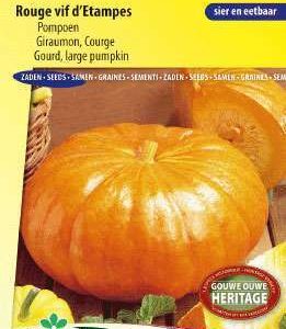 Pompoen Vif d`Etampes