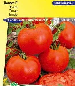 Tomato Bonset F1