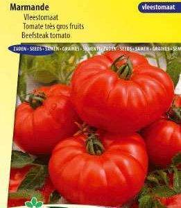 Tomato Marmande