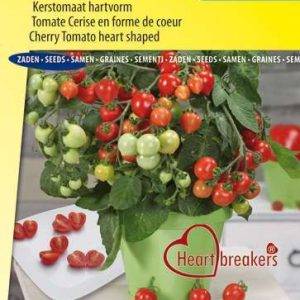 Tomato Heartbreakers F1