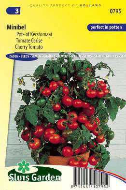 Minibel (Mini-Tomate)