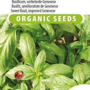 Basil, improved Genovese Eco