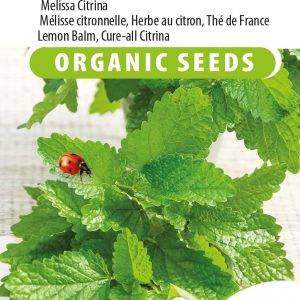 Lemon balm Citrina Eco