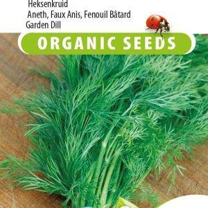 Dill Anethum graveolens BIO