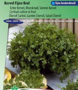 Kerbel Fine Curl
