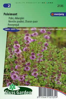 Polei mint
