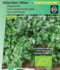Leaf parsley, Italian Giant - Hilmar Eco
