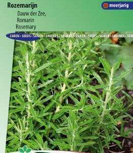 Rosemary