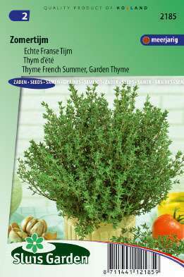 Thymian