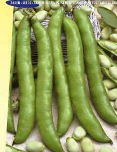 Broad bean Triple White from 50 grams