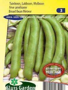 Broad bean Witkiem from 50 grams