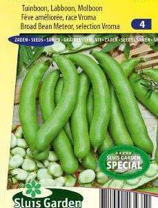 Broad bean Witkiem Vroma from 85 grams