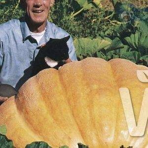Cucurbita Maxiima Dills Atlantischer Riese