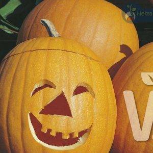 Cucurbita species Jack O Latern