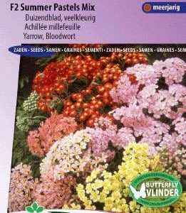 Achillea of Duizendblad