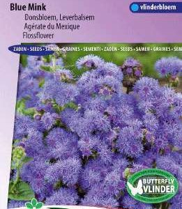 Ageratum Bleu Mink