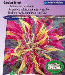 Amaranthus/Bladamarant, driekleurig Garden Select
