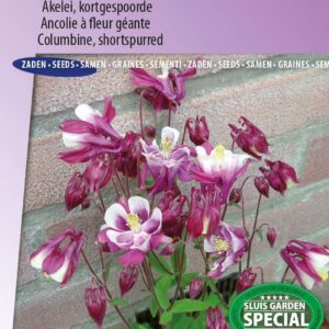 Akelei Winky Red White